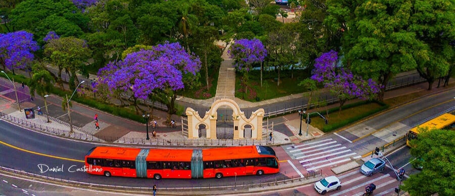imagem de curitiba